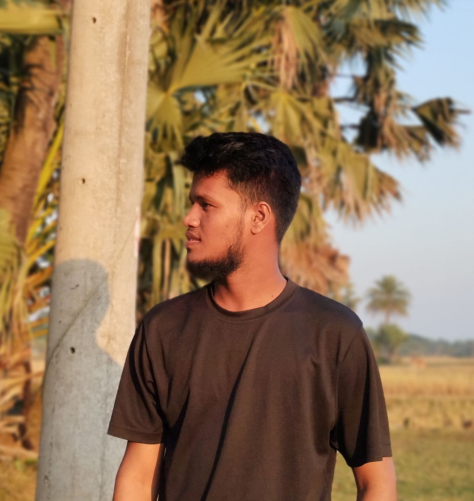 A scenic view of a green forest with a laptop on a wooden table